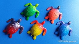 Черепаха растущая в воде цветная